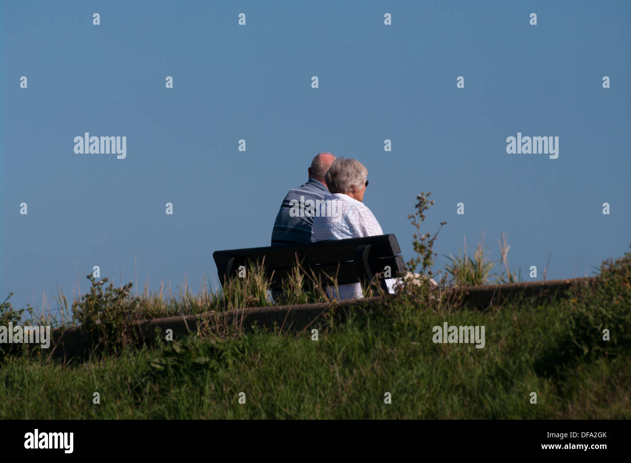 Vue arrière d'un couple de personnes âgées assis sur un banc Banque D'Images