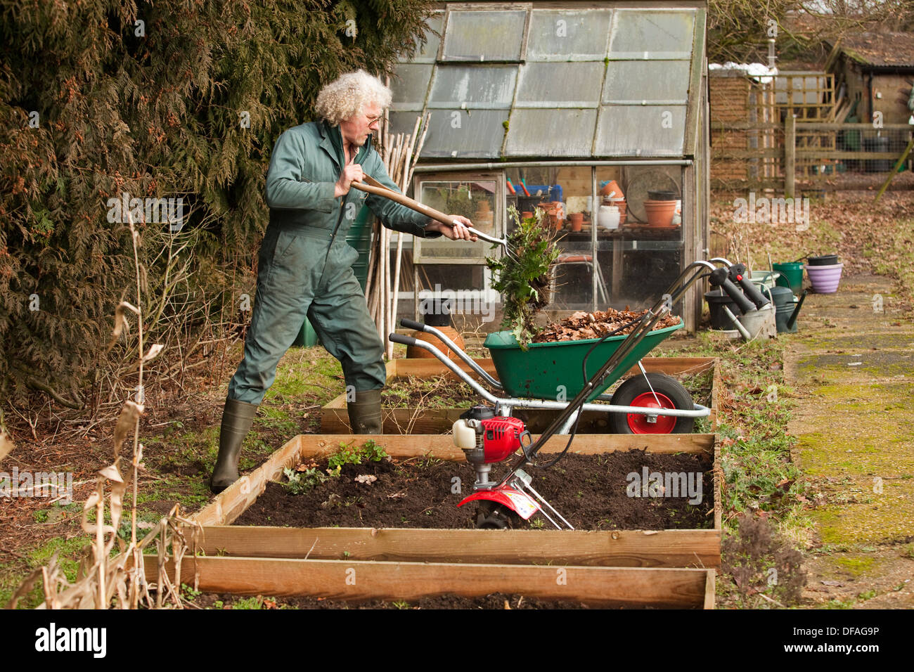 Un homme prépare une parcelle de terrain végétale UK Banque D'Images