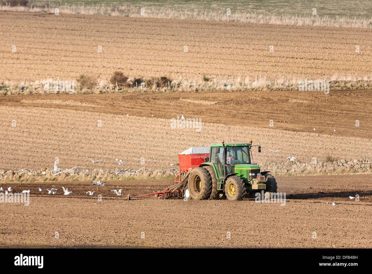 Le tracteur laboure le champ à Tarland dans l'Aberdeenshire, en Écosse. Banque D'Images