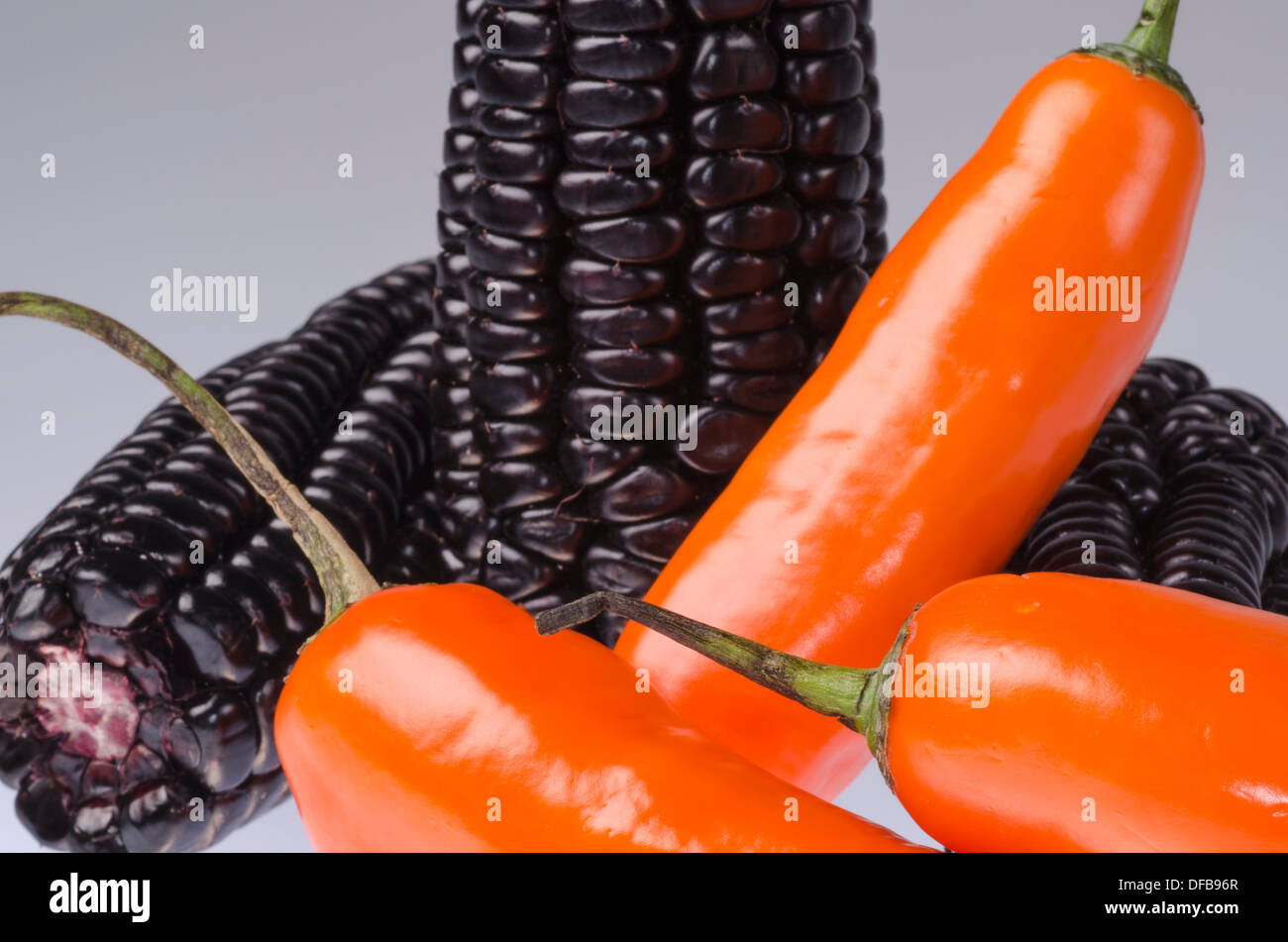 Poivron jaune péruvien ( Capsicum baccatum ) et la pourpre le maïs (Zea mays). Banque D'Images