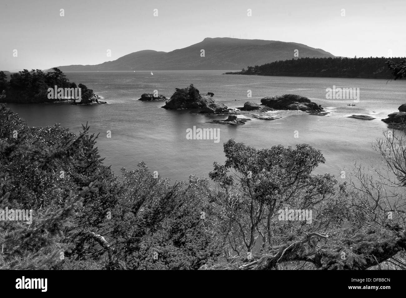 Photographie monochrome de Sucia Île de San Juan Islands Banque D'Images