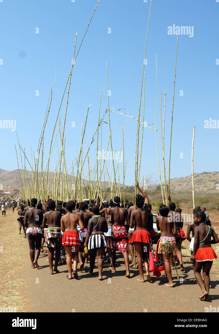 Des milliers Zulu maidens participer à Reed Dance où les filles après avoir subi un test de virginité jeter roseaux roi Goodwill Banque D'Images