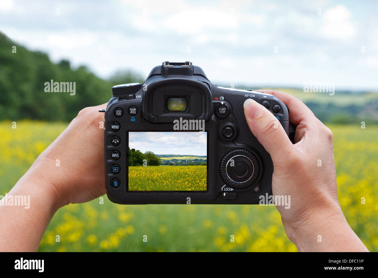 Une femme à l'aide de l'écran LCD arrière pour composer et prendre une photo en mode paysage avec son appareil photo reflex numérique à l'aide de visualisation simultanée. Banque D'Images
