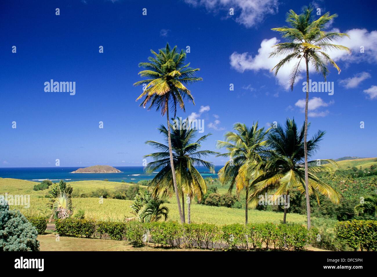 Paysage de la côte atlantique entre Sainte-Marie et la Trinité Ile de la Martinique Département et Région d'Outremer francais Banque D'Images