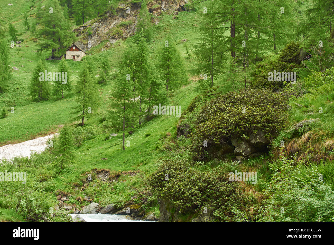 Cabane dans la nature des Alpes italiennes, dans la Valle Antona Banque D'Images