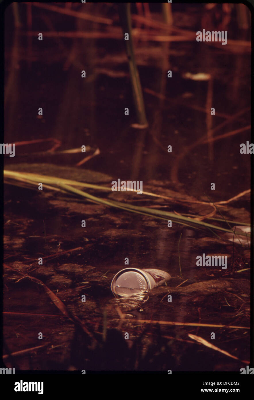 Une canette de bière et d'autres déchets sont vus parmi les nénuphars dans un parc du comté, laissé derrière après une célébration du 4 juillet. Les débris mettent en évidence l’impact environnemental des rassemblements publics sur les espaces naturels. Banque D'Images