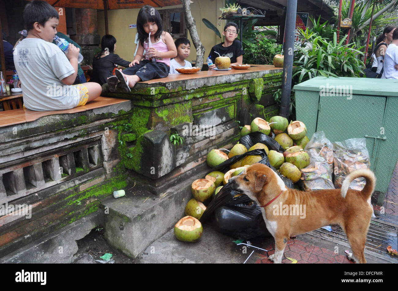 Asian eating dog meat Banque de photographies et d'images à haute  résolution - Alamy