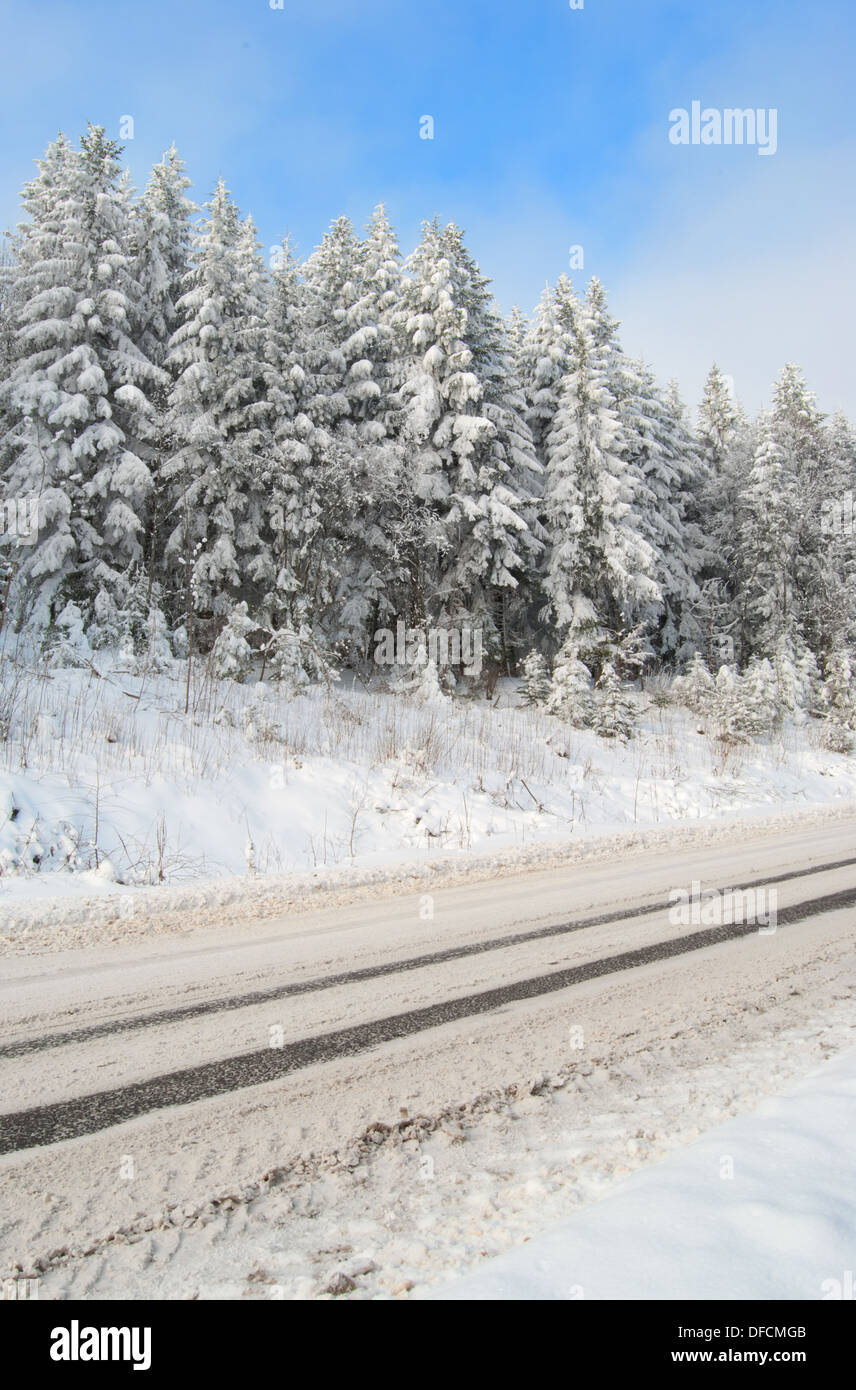 Une route est lié à la neige en hiver forêt Banque D'Images