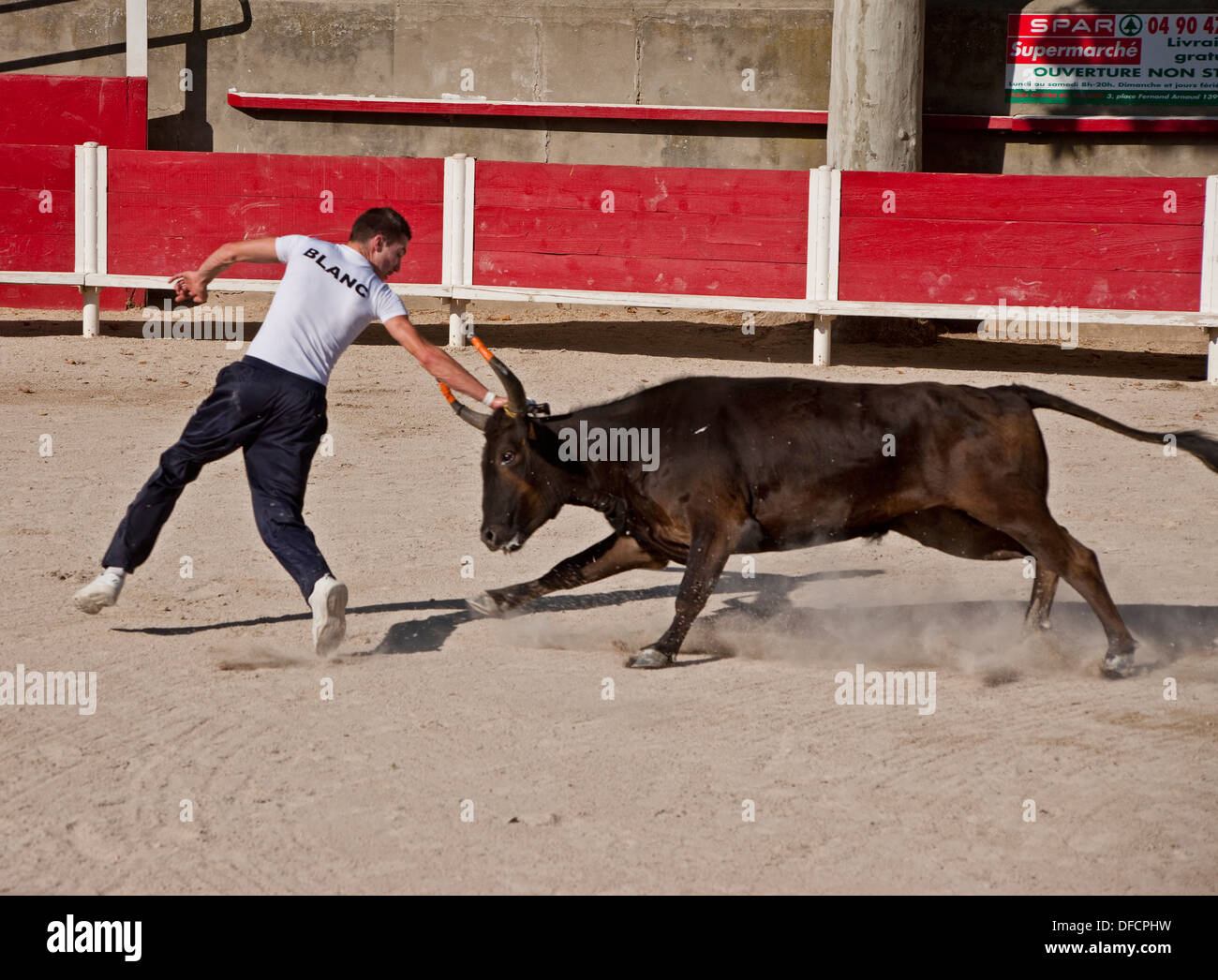 Bull Bull fighter et la tauromachie Camarguaise Cours Fontvieille France Banque D'Images