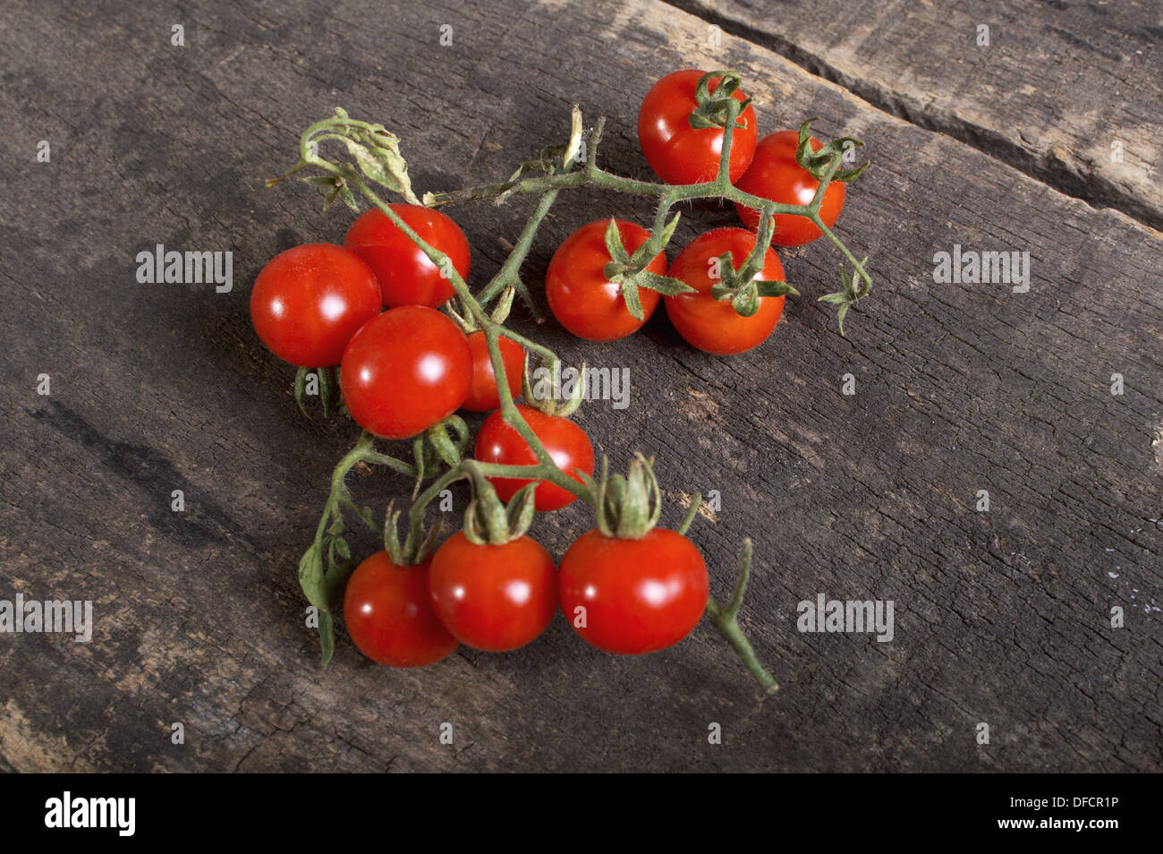 Frais, tomates cerise mûre sur bois. Banque D'Images