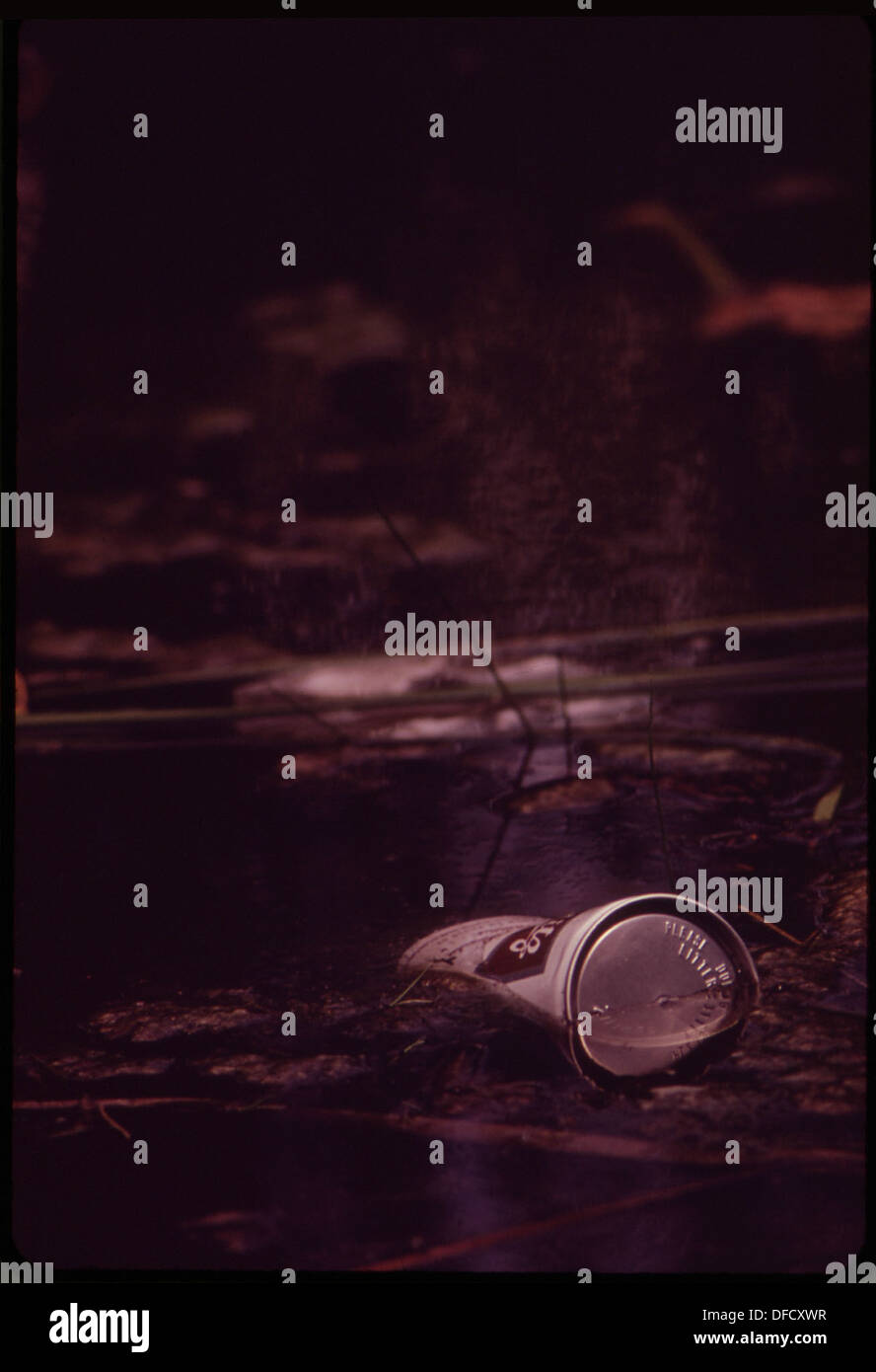 Une boîte de cerfs jetée dans les nénuphars d'un parc du comté le long de la rivière Wisconsin, laissée d'une célébration du 4 juillet, illustrant les problèmes de déchets. Banque D'Images