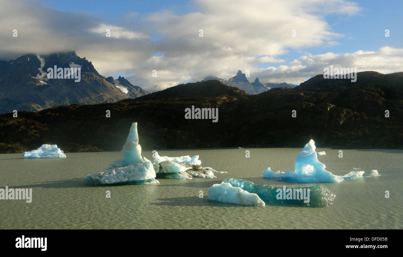 Des icebergs sur le lac Grey dans le Parc National Torres del Paine, Chili Banque D'Images