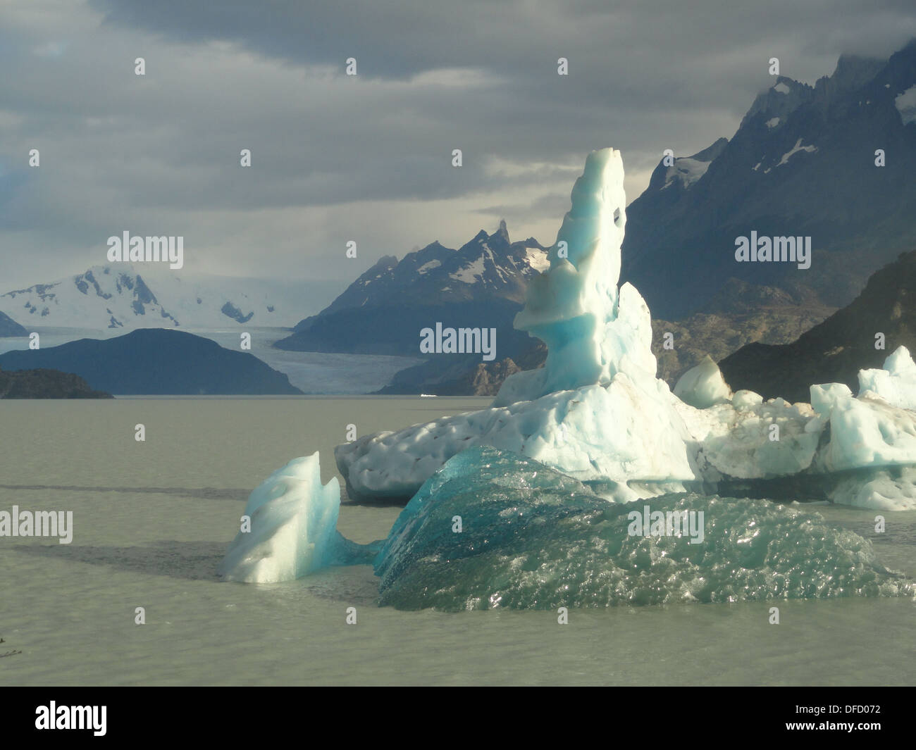 Des icebergs sur le lac Grey dans le Parc National Torres del Paine, Chili Banque D'Images