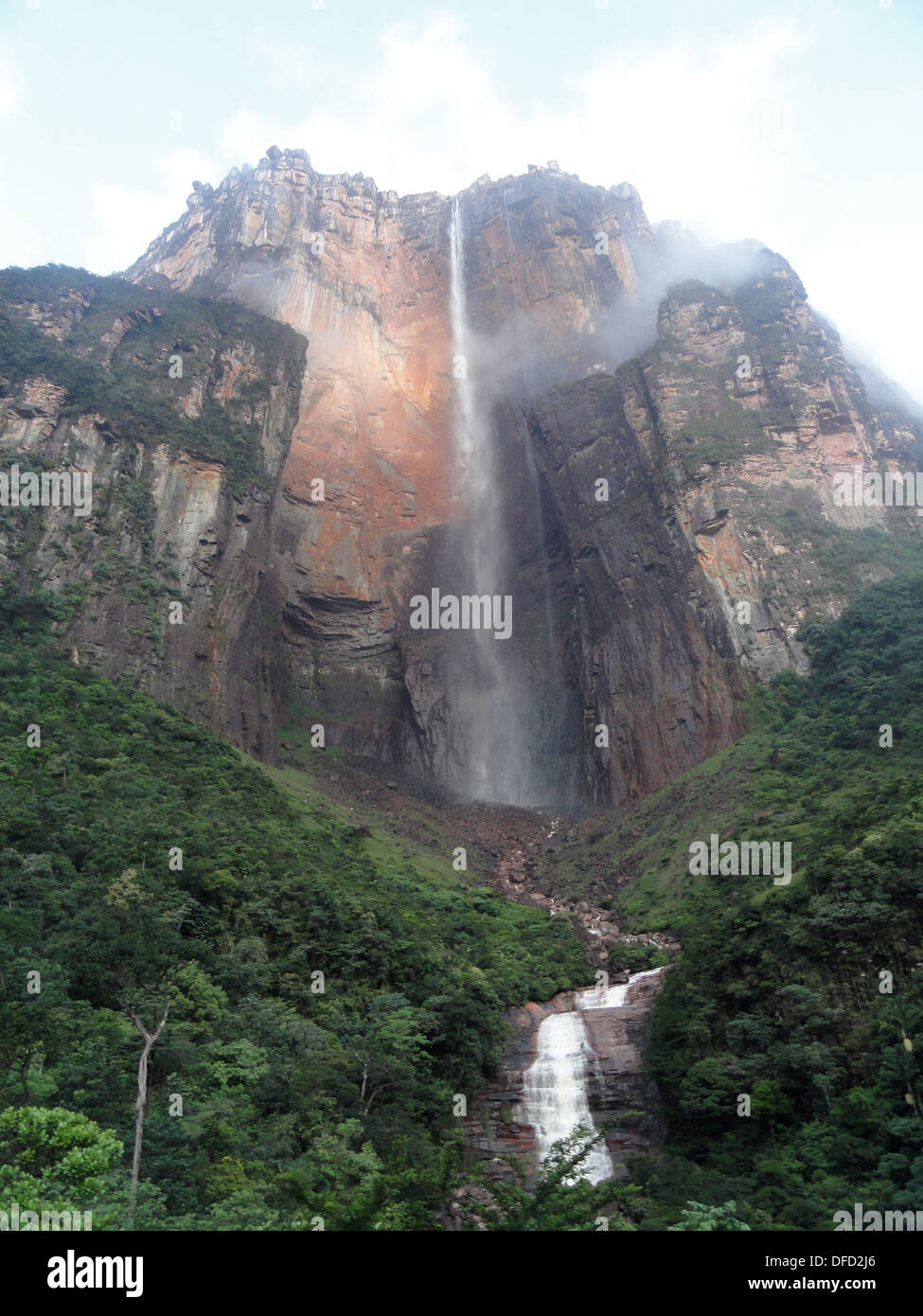 Angel Falls / Salto de Angel, Parc national Canaima, Venezuela Photo ...