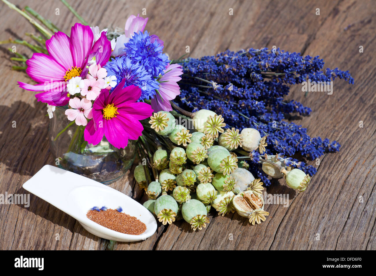 Récolte d'été de fleurs de lavande, de fleurs de pavot, capsules et les graines de pavot dans un petit bol en porcelaine sur une table en bois rustique Banque D'Images