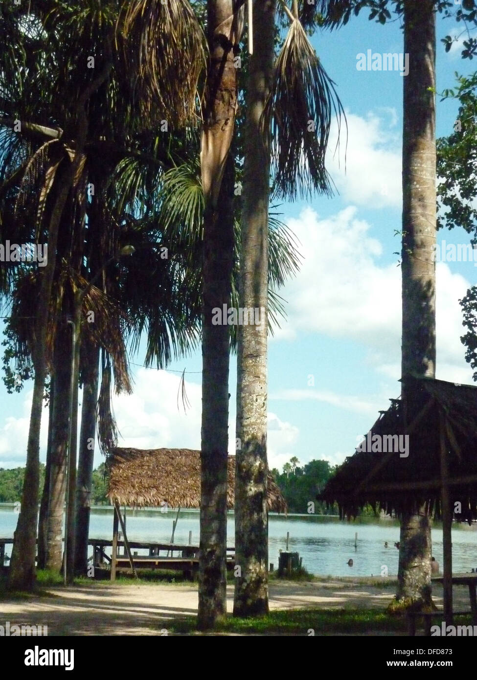 Quistacocha Zoological Park, près de Iquitos, en Amazonie péruvienne Banque D'Images