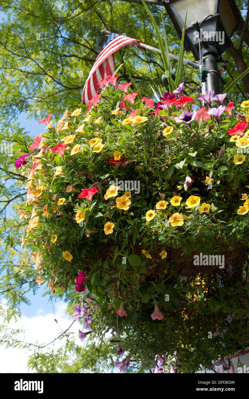 Panier de fleurs suspendus sur le lampadaire. Banque D'Images