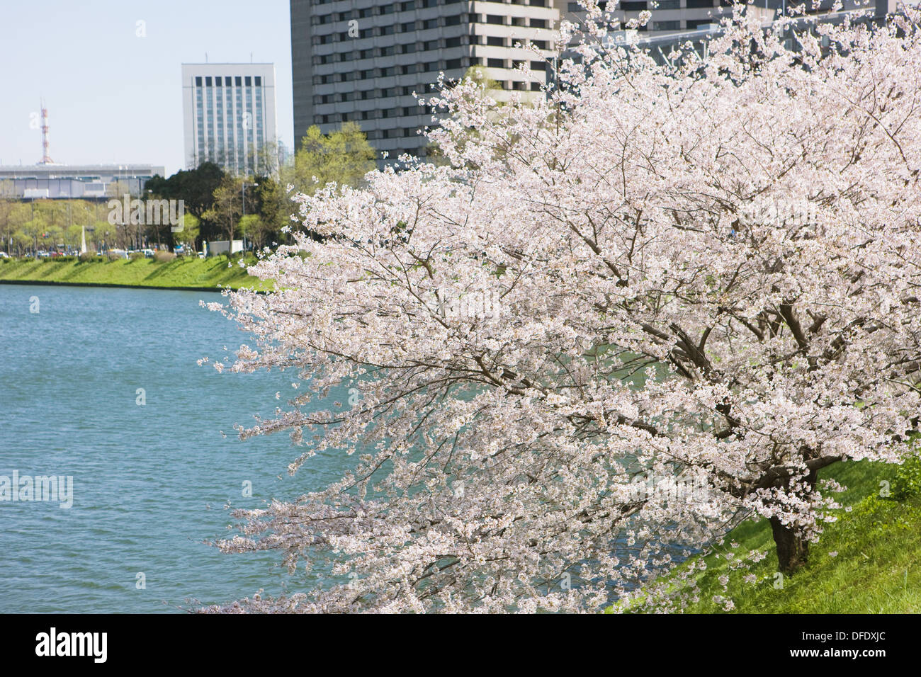 Palais Impérial de Tokyo, Tokyo, Japon Banque D'Images