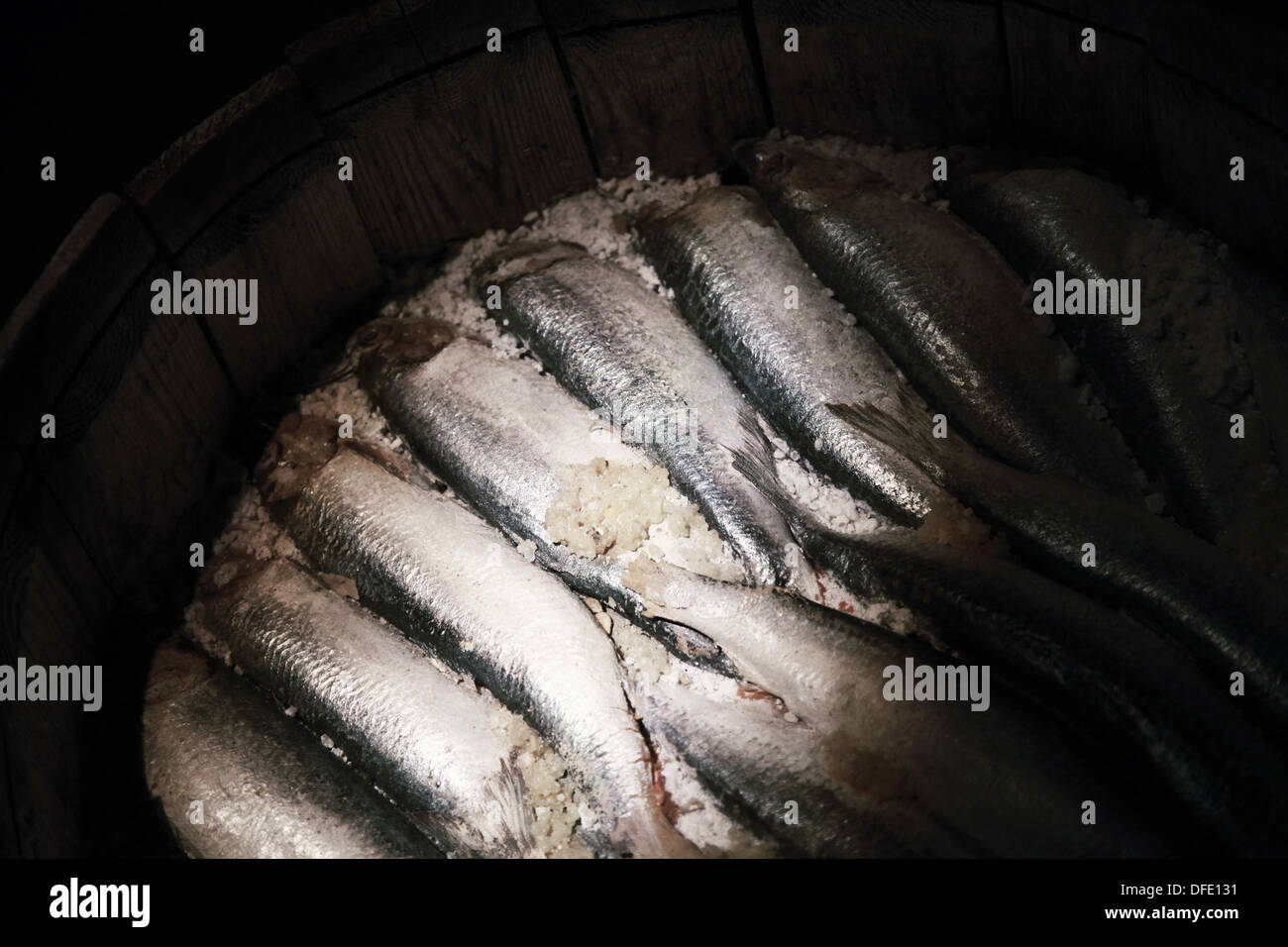 Photo gros plan de hareng salé dans un tonneau en bois sur fond sombre Banque D'Images