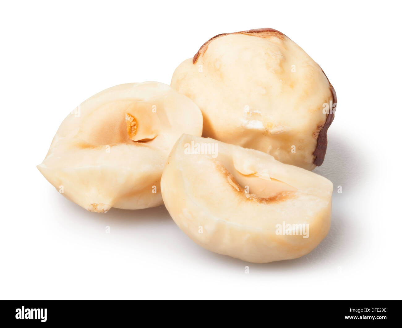Groupe noisette ouvert sur fond blanc Banque D'Images