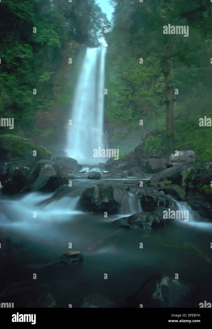 Photo de la beauté de cascade de Gitgit, Bali's plus haute cascade. Banque D'Images
