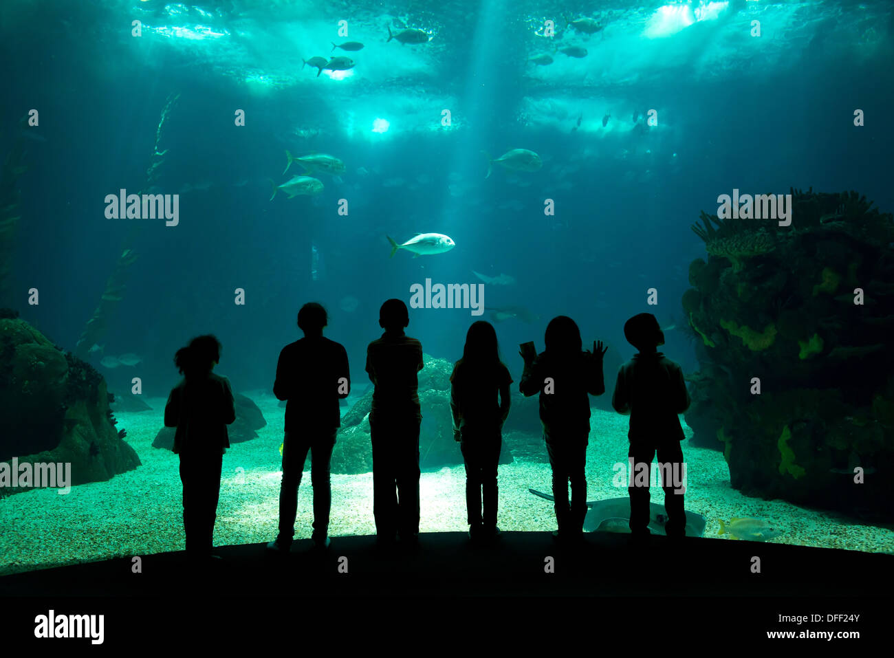 Les enfants dans un parc de l'eau regardant à travers le verre du poisson Banque D'Images