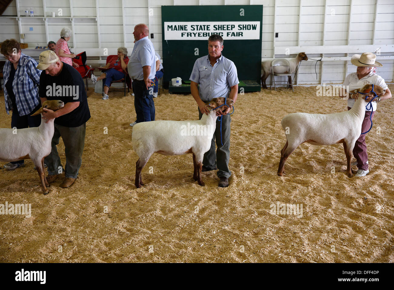 L'élevage de moutons de Fryeburg la concurrence équitable, Fryeburg, Maine, États-Unis Banque D'Images