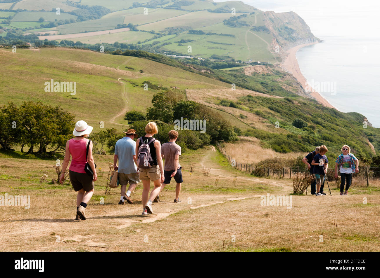 Des groupes de marcheurs et Randonneurs marchant dans Golden Cap vers Seatown sur la côte sud-ouest le long du chemin Côte Jurasic Banque D'Images