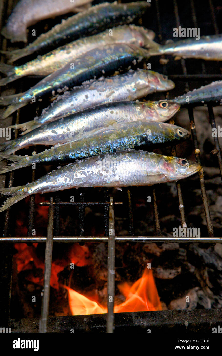 Portugal sardines Banque de photographies et d’images à haute résolution Alamy