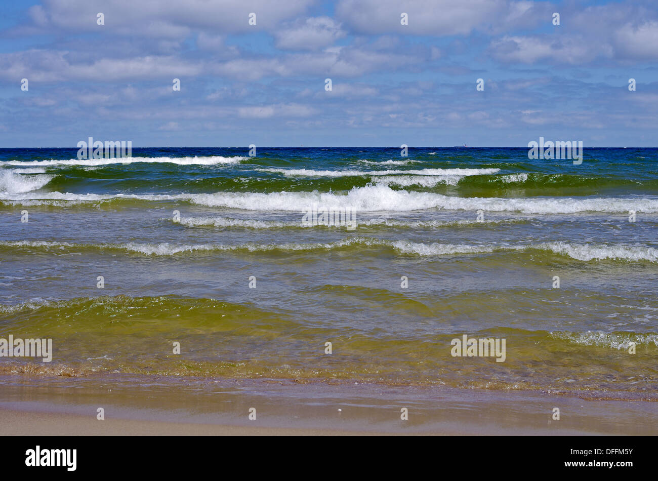 Vu de la mer Baltique sur l'île de Sobieszewo Orlinki, Gdansk, Pologne Banque D'Images