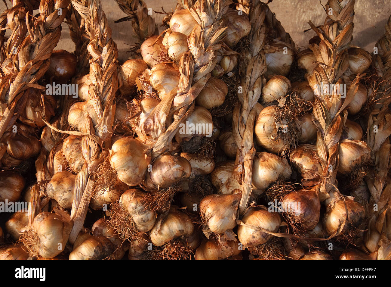 L'ail à un marché de fermiers de Péronne, Picardie, France Banque D'Images