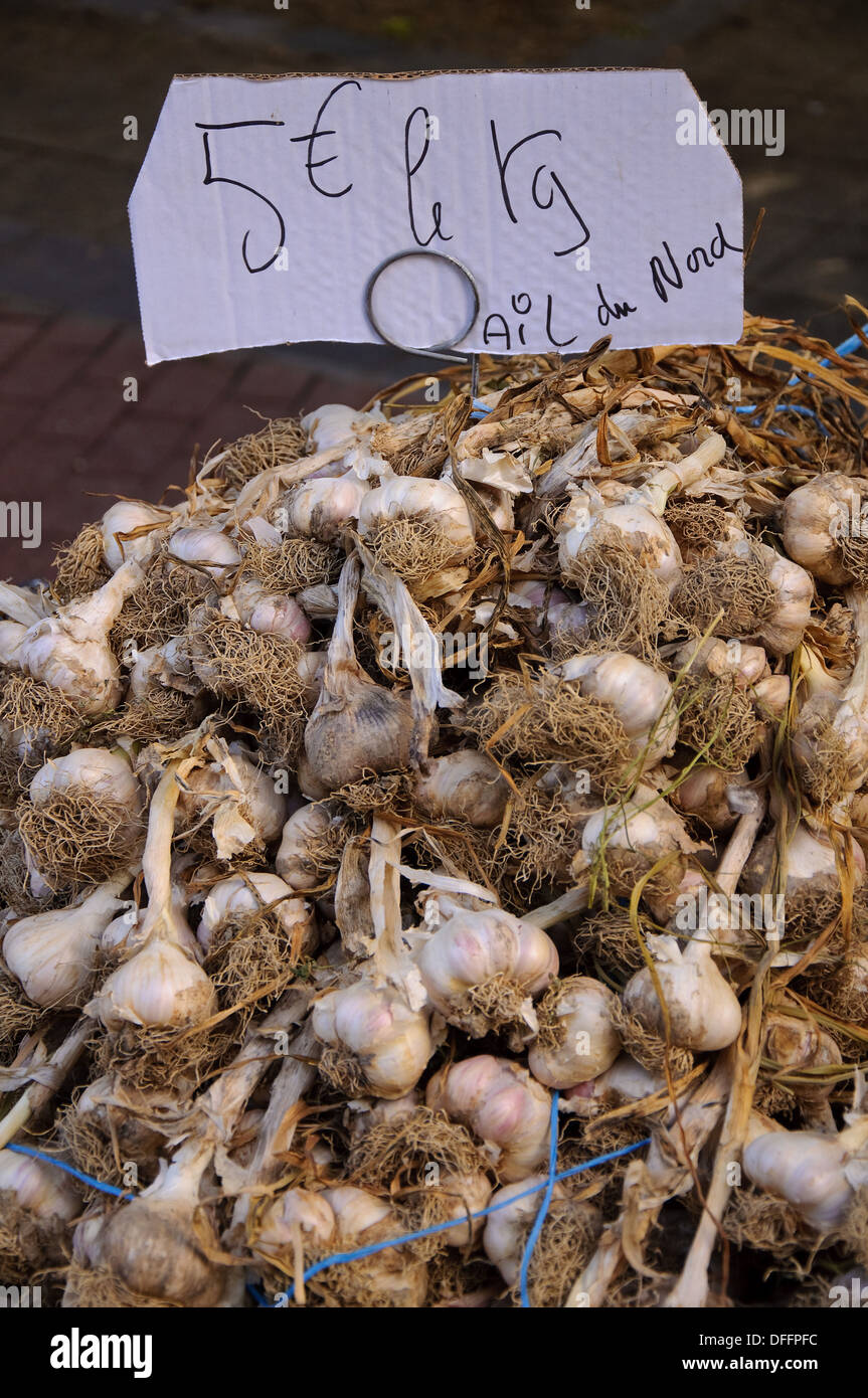 L'ail à un marché de fermiers de Péronne, Picardie, France Banque D'Images
