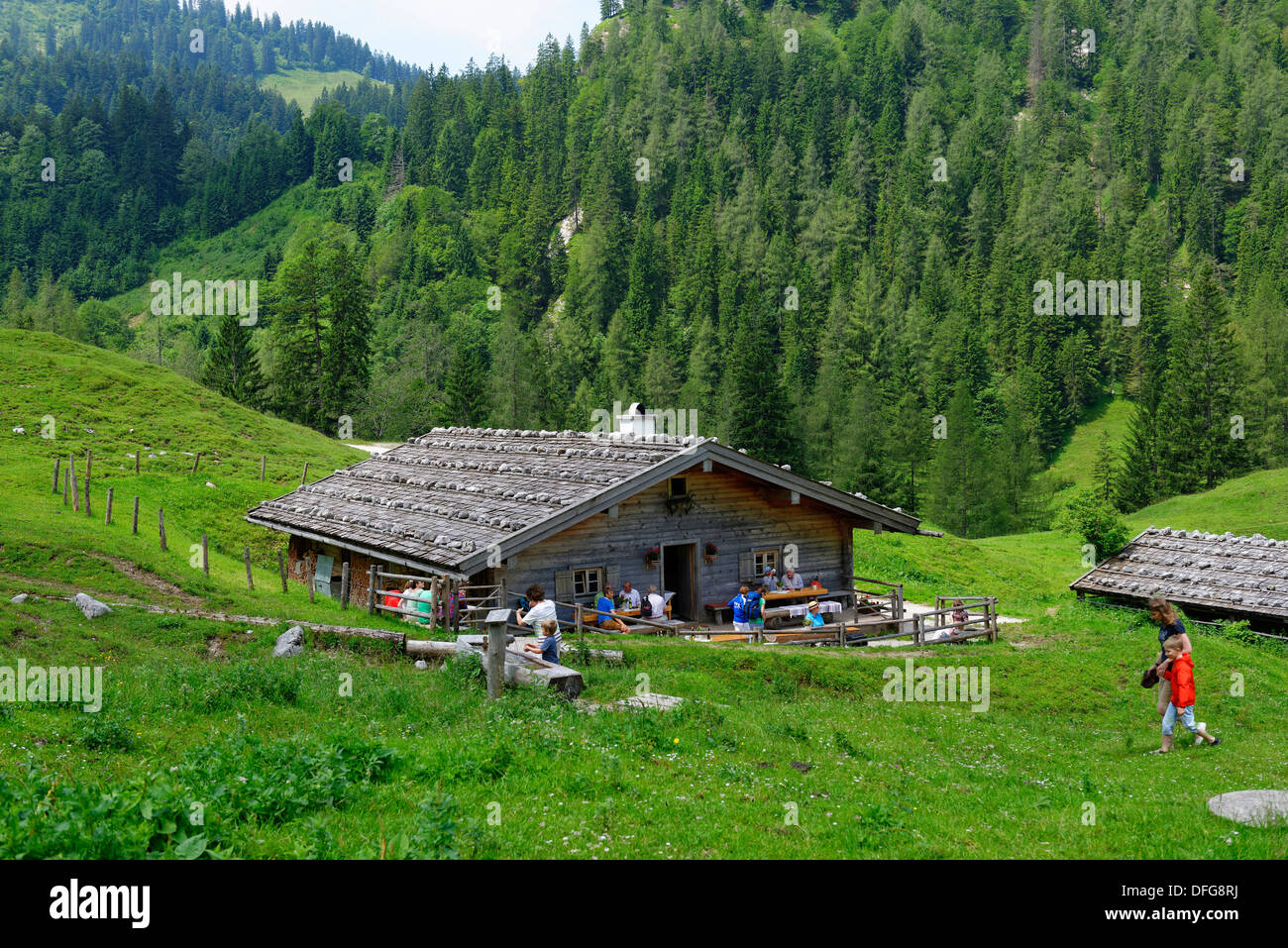 Bindalm alpage, vallée Klausbachtal, Berchtesgadener Land, District de Haute-bavière, Bavière, Allemagne Banque D'Images