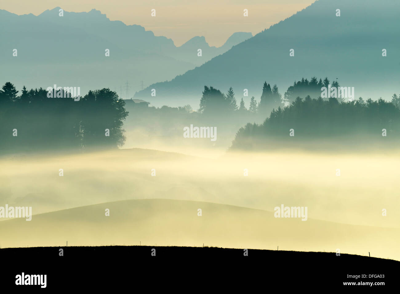 Atmosphère de brouillard d'automne dans le Plateau suisse ou Plateau Central, Hirzel, Canton de Zurich, Suisse Banque D'Images