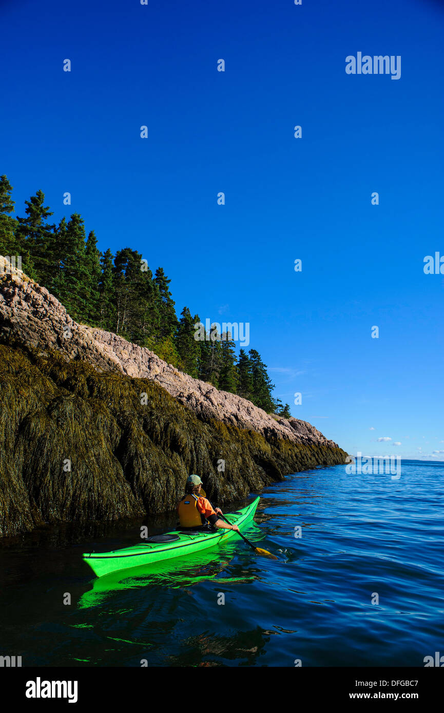 Kayak baie de Fundy Banque D'Images