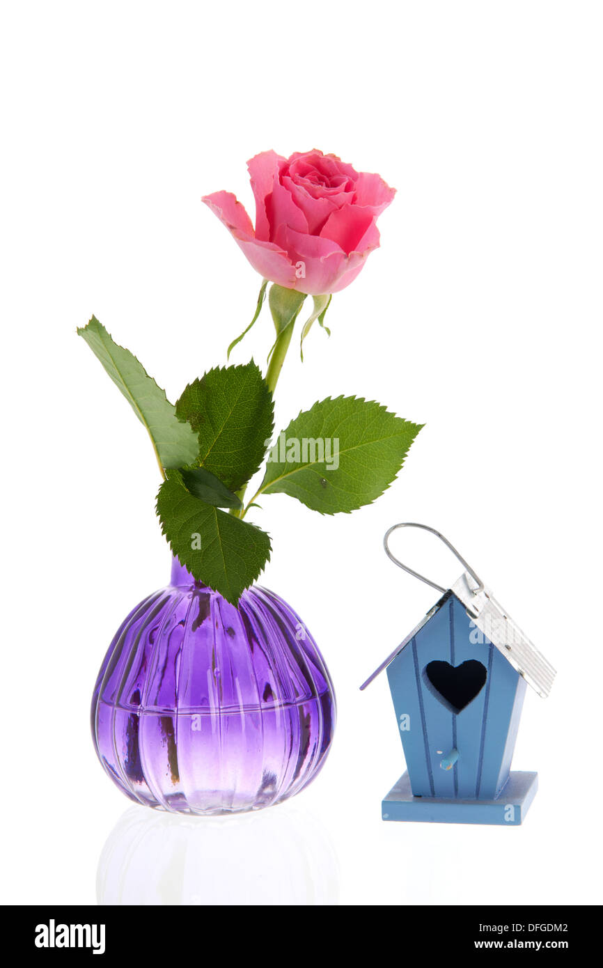 Rose rose en vase en verre et de maison d'oiseau Banque D'Images