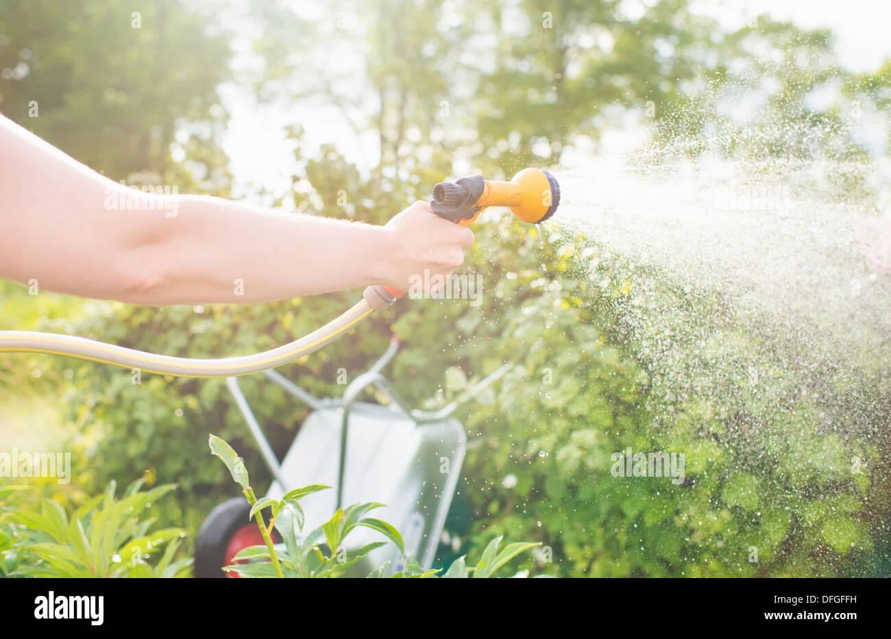 Femme avec l'arrosage des plantes d'arrosage et d'installation sprinkleur Banque D'Images