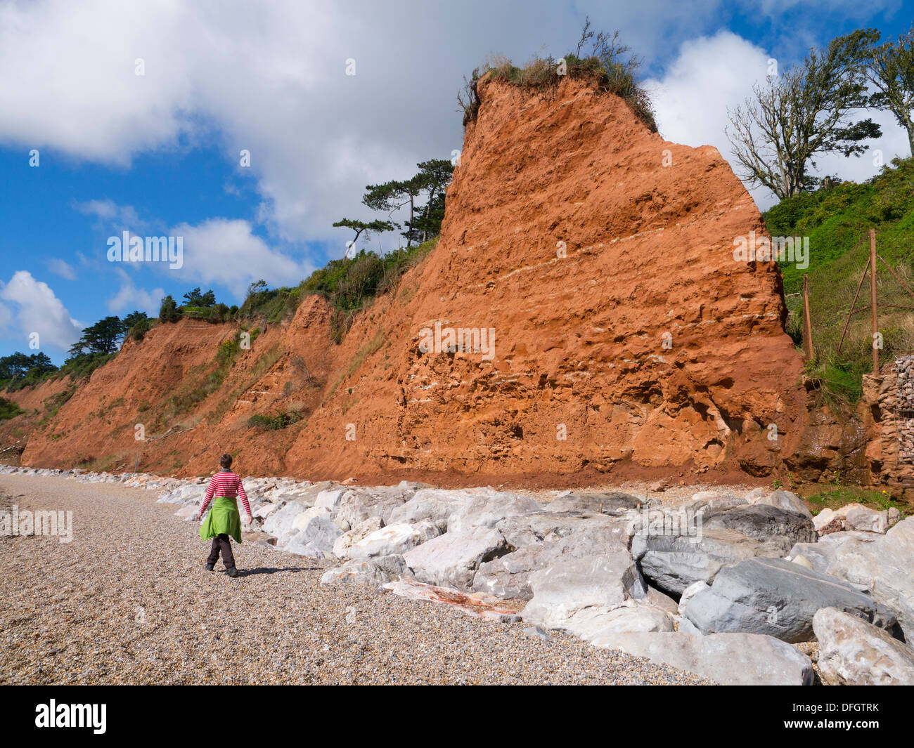 Un marcheur passe érodé rochers et mer défenses sur la côte jurassique du Devon Seaton UK Banque D'Images