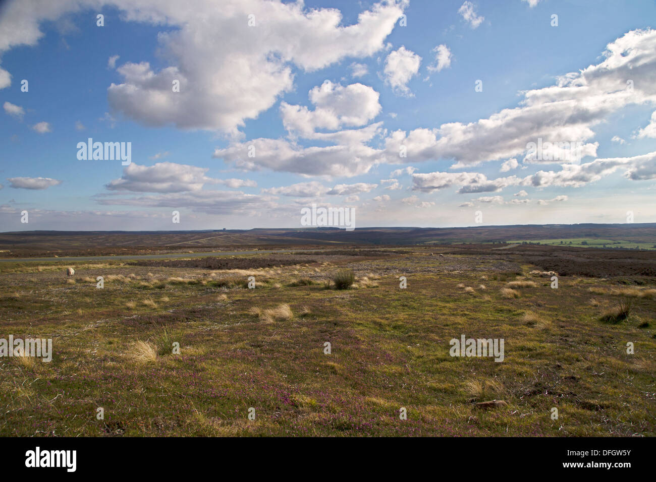 Voir l'ensemble de Fylingdales Moor dans le North Yorkshire, Angleterre Banque D'Images