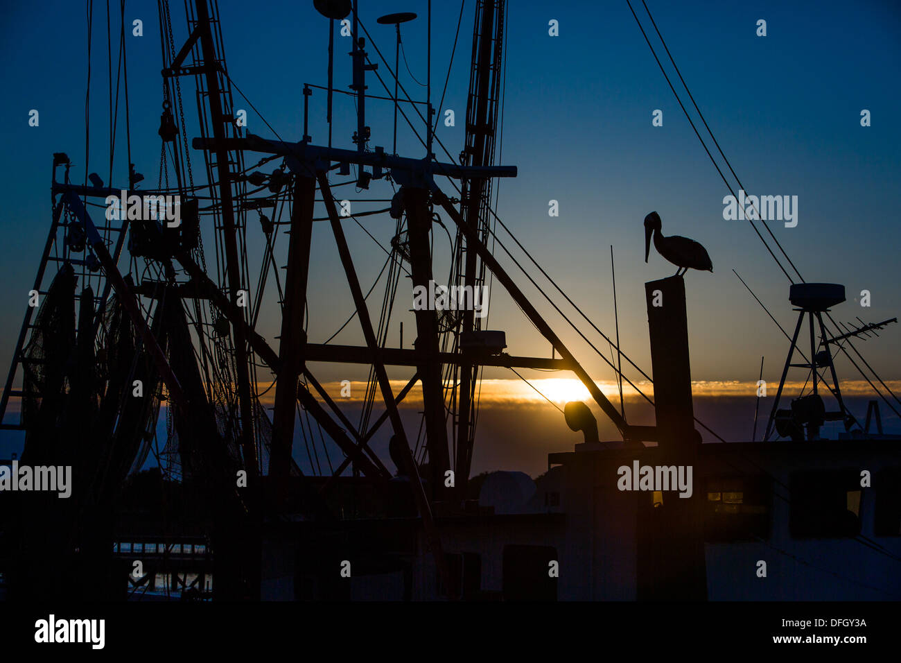 Coucher de soleil avec des bateaux de crevettes et des pélicans sur shem Creek à Mt. Pleasant, SC. Banque D'Images