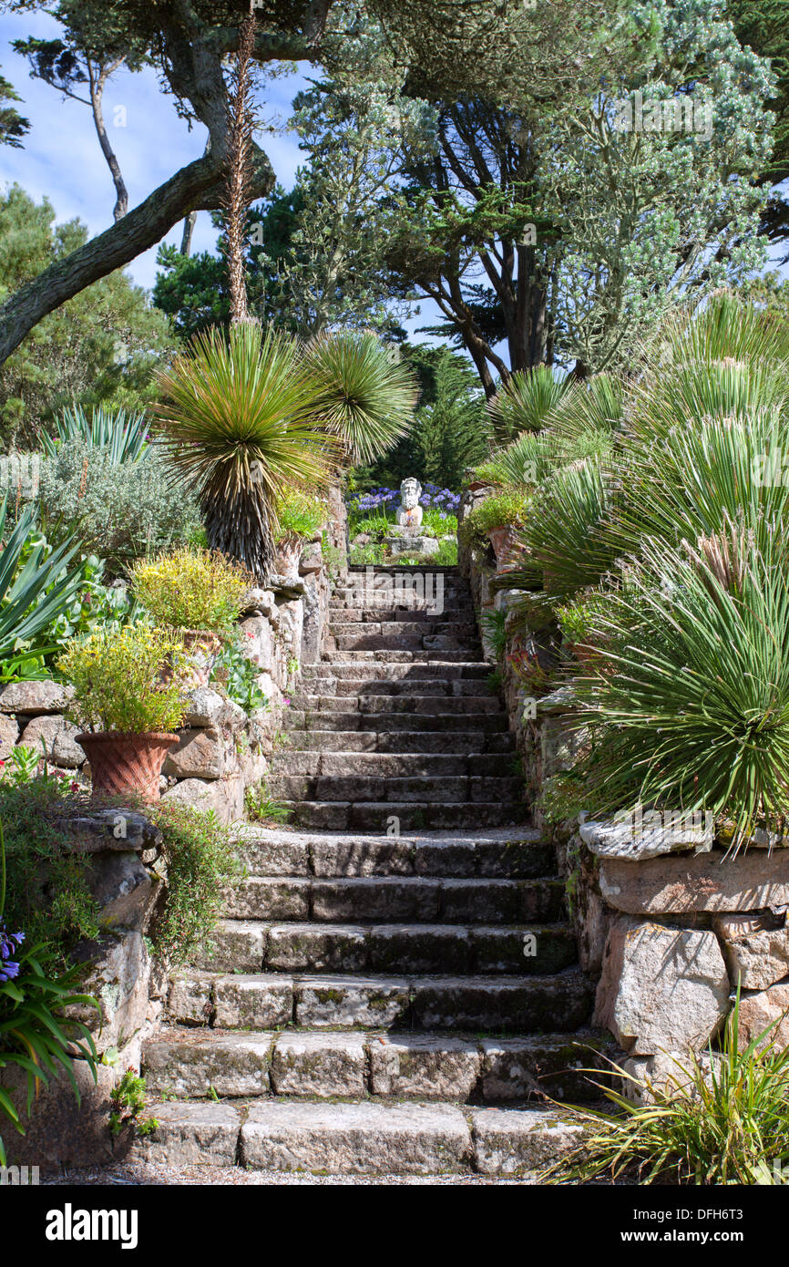 Jardins de l'abbaye de Tresco marches de pierre, Îles Scilly, UK Banque D'Images