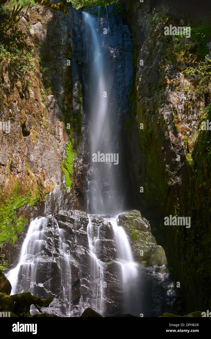 Abaisser le Kentucky falls, forêt nationale de Siuslaw, Oregon, USA. Banque D'Images