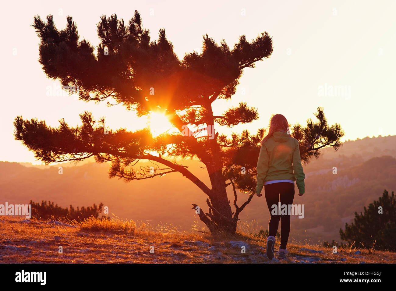 Lonely Tree sur montagne et femme de marcher seul au coucher du soleil derrière voir en couleurs orange et rose émotions solitude Mélancolique Banque D'Images