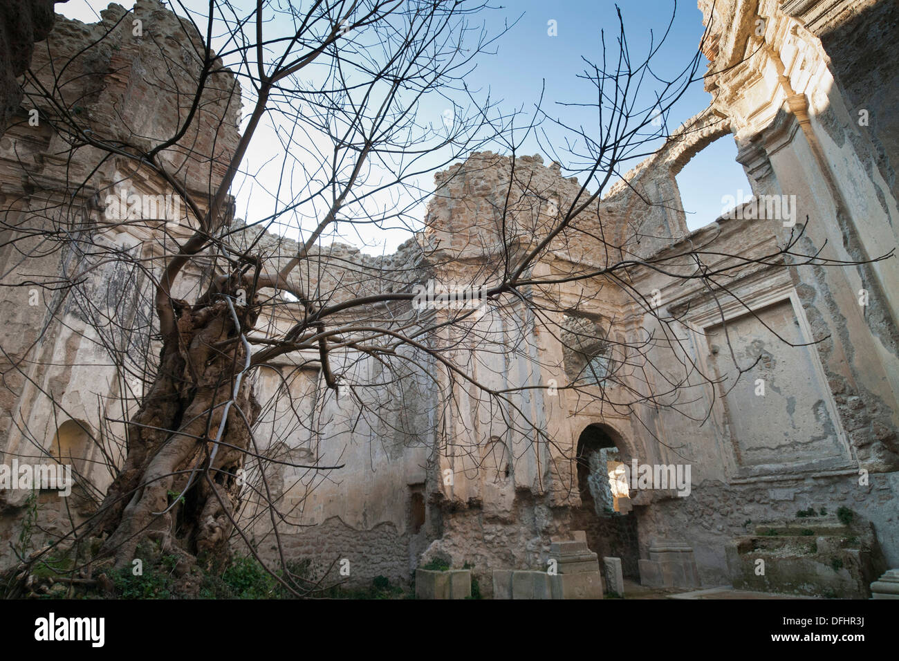 Fig arbre qui pousse dans les ruines de l'église de Bernini et le couvent de San Bonaventura Canale Monterano Italie. Banque D'Images