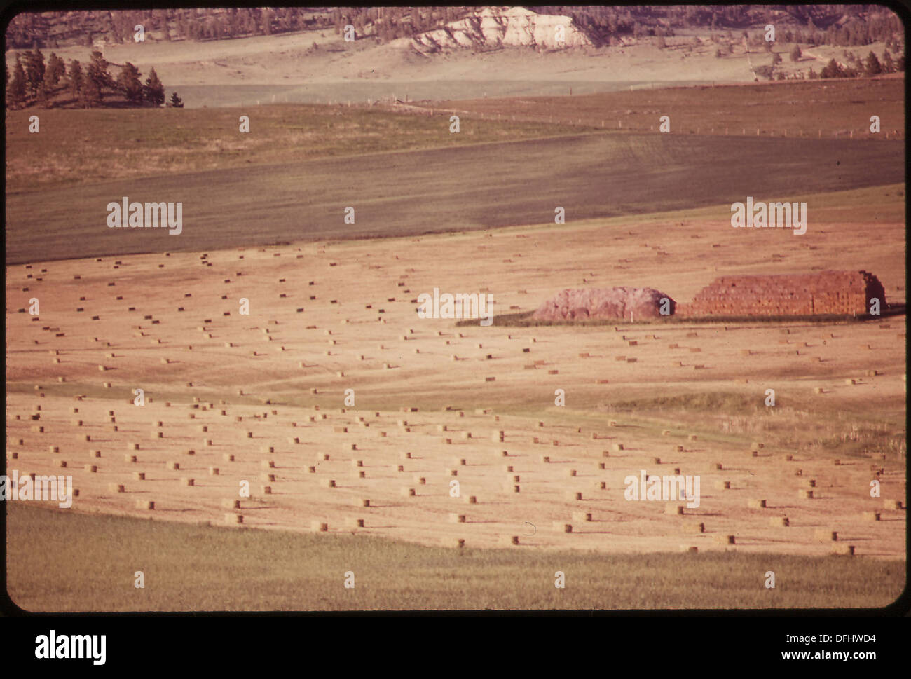 Champs de foin sur un ranch dans le bassin de Sarpy, où la Westmoreland Coal Company cherche à acquérir des terres pour l'exploitation minière à ciel ouvert. L'image met en évidence le contraste entre l'utilisation agricole et les plans de développement industriel. Banque D'Images