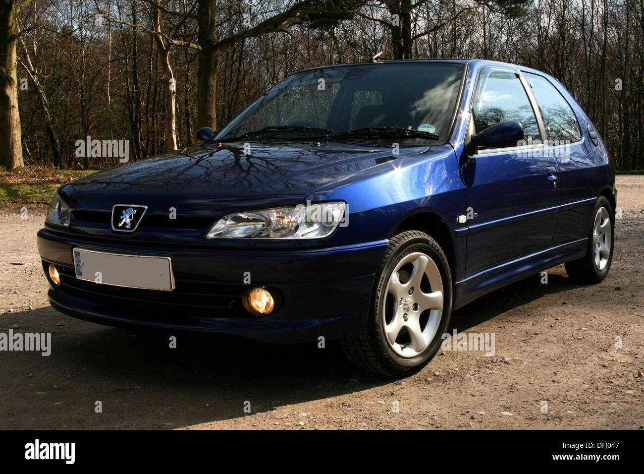 Blue nude éclosent en forêt Banque D'Images