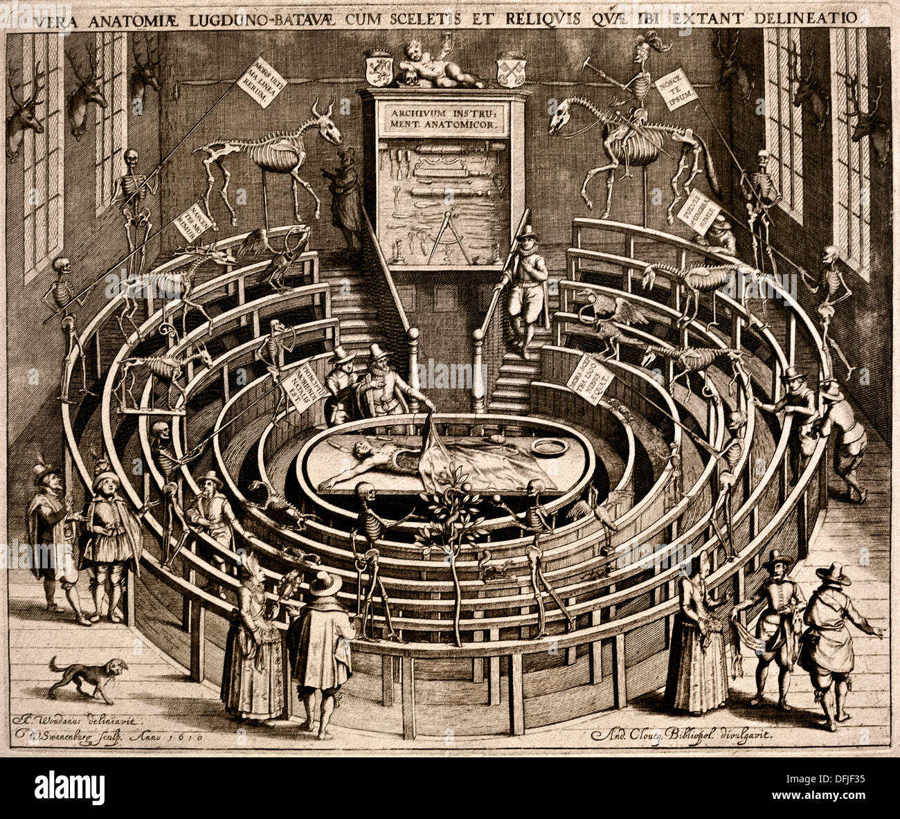 Théâtre anatomique Leiden ( Museum Boerhaave ) Willem Swanenburgh 1581 - 1612 gravure sur cuivre ( dessin Johannes Woudanus ) Banque D'Images