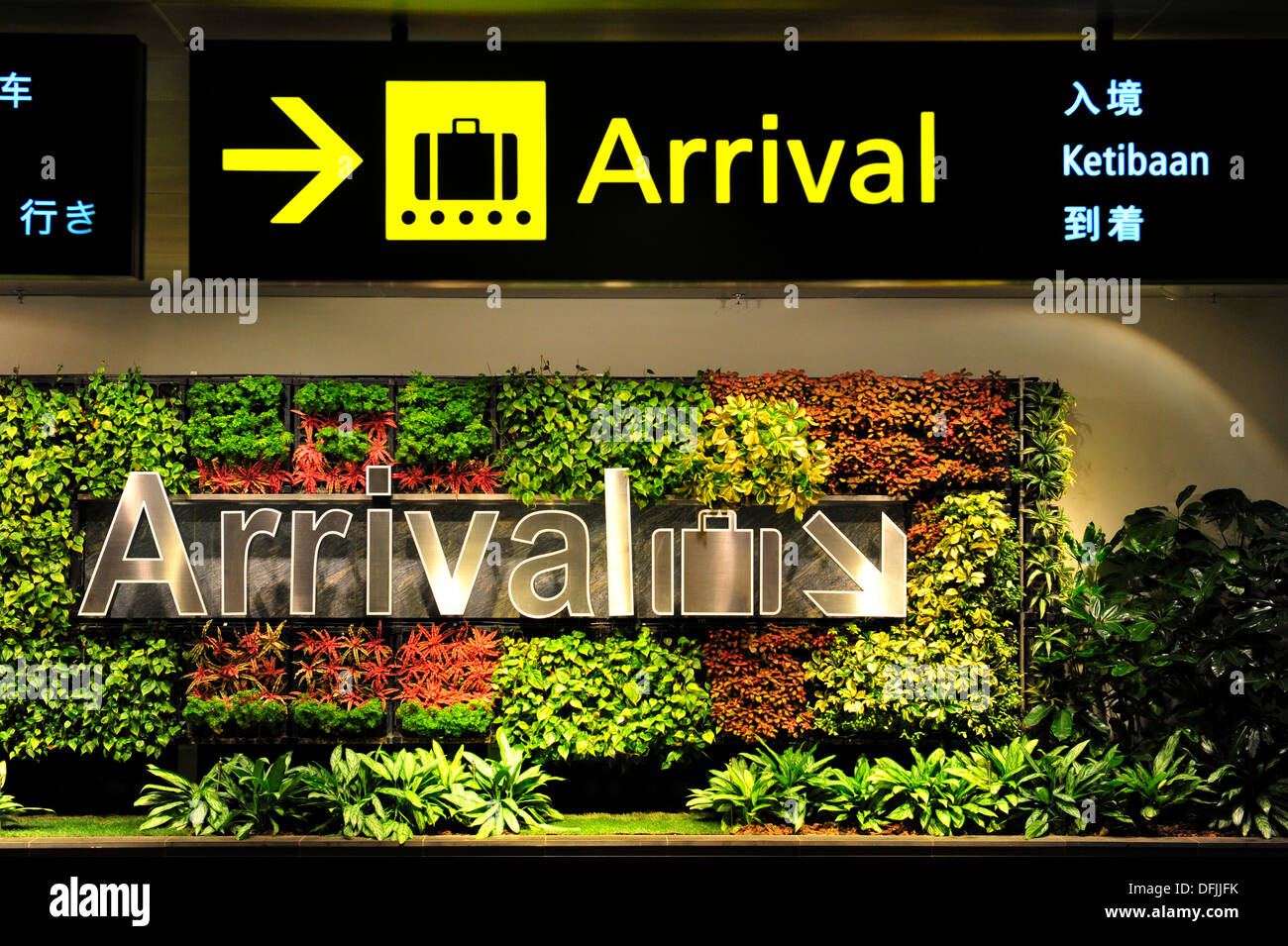 L'aéroport International Changi de Singapour - Jardin Vertical Banque D'Images