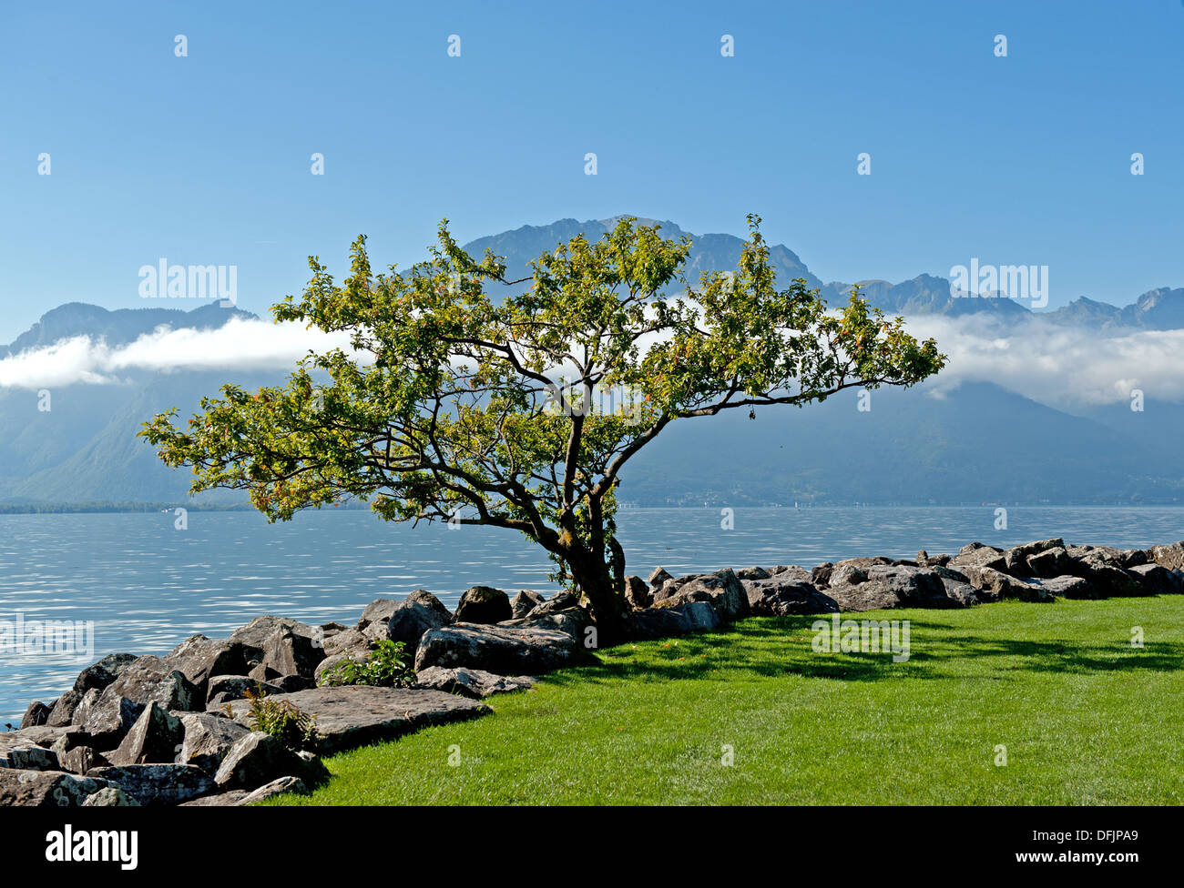 Lac de Genève à Montreux dans le canton de Vaud en Suisse. Banque D'Images
