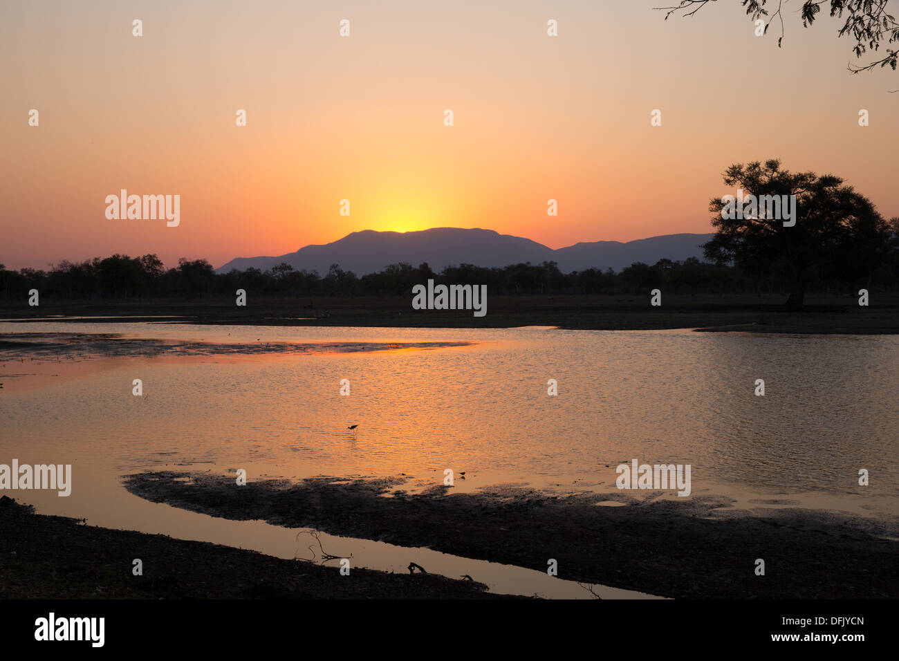 Coucher de soleil sur le fleuve Zambèze Banque D'Images